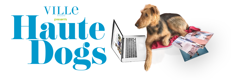 Ville Magazine Haute Dogs