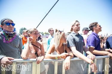 Sasquatch Day 4 2