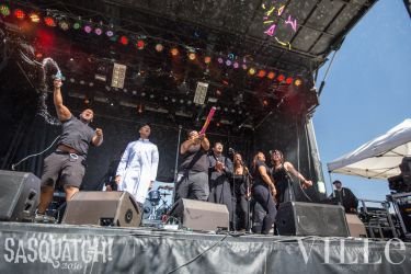 Sasquatch Day 4 41