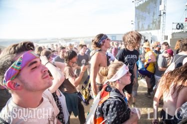 Sasquatch Day 4 72