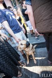 CHBP 2016 Day 2 31