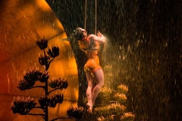 JLD 6788  Jessica Drake s conflicted copy 2017 04 01 