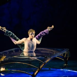 Cirque du Soleil's LUZIA