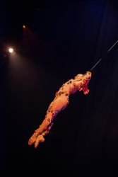 DSC 2020 57